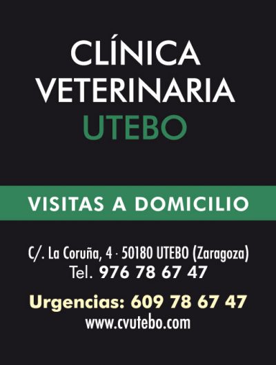 Clinica Veterinaria Utebo