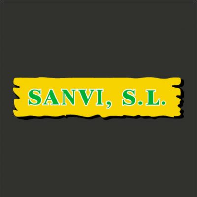 Sanvi